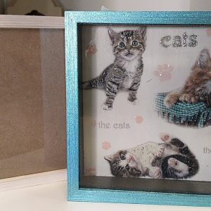 Mealheiro "Gatinhos"