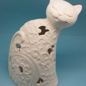 Gato em Chacota