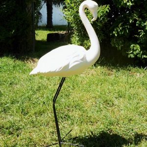 Flamingo em Chacota