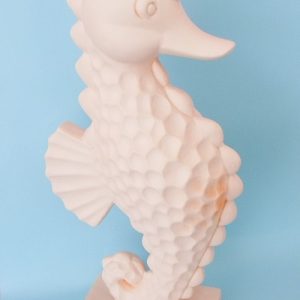 Cavalo Marinho em Chacota