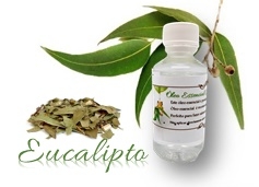 Óleo Essencial de Eucalipto